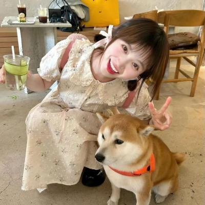 对岸的战争