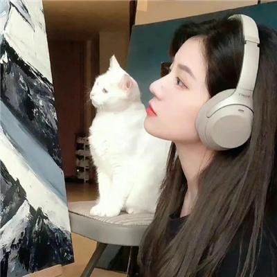 细骨小屋
